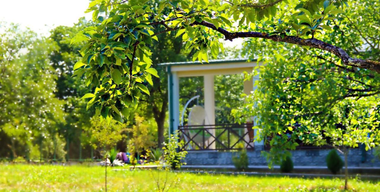 Villa Rokiti Esterno foto